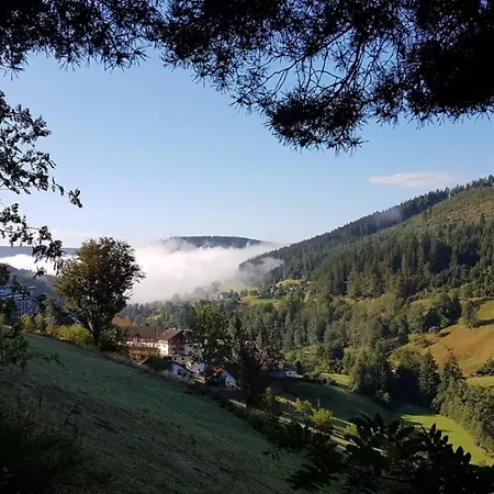 Tonbachtal Apartment *