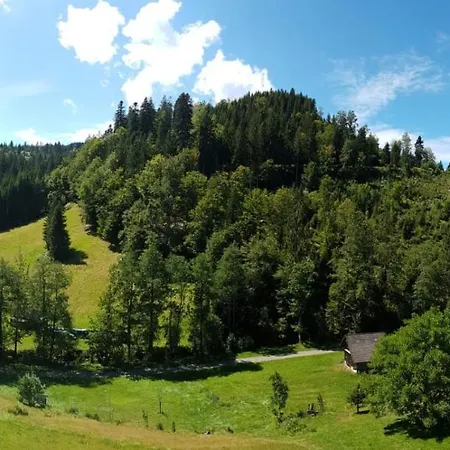 Tonbachtal Apartment Baiersbronn