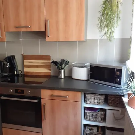 Tonbachtal Apartman *