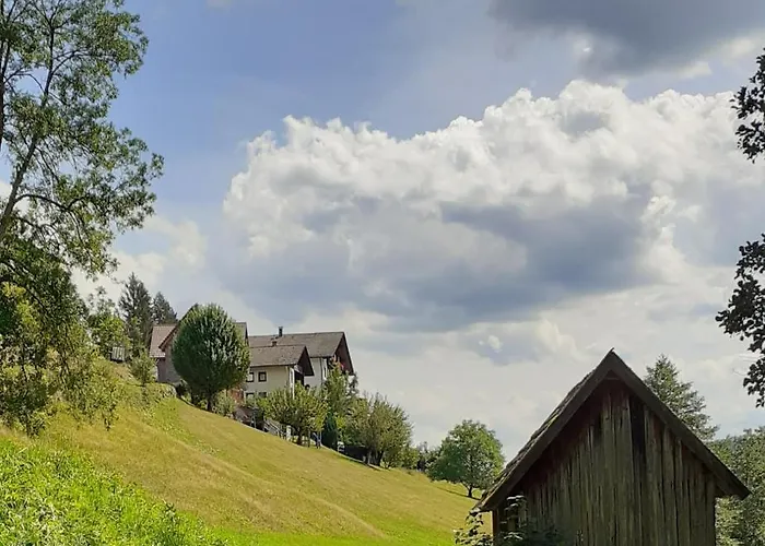 Lägenhet Tonbachtal Baiersbronn