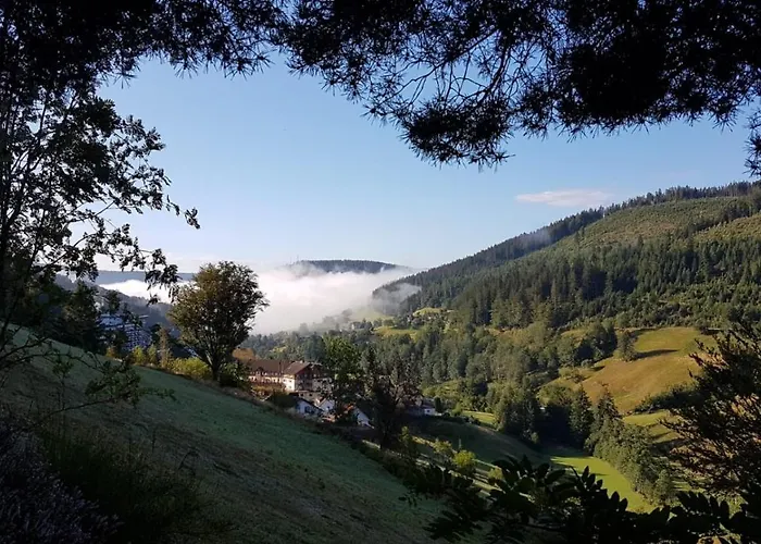 Tonbachtal Lägenhet *
